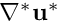 $ \nabla^*\mathbf{u}^* $