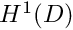 $H^{1}(D)$