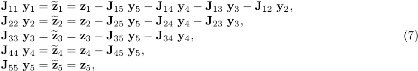 \[ \hspace{3cm} \begin{array}{l} {\bf J}_{11} \ {\bf y}_1 = \widetilde{\bf z}_1 = {\bf z}_1 - {\bf J}_{15} \ {\bf y}_5 - {\bf J}_{14} \ {\bf y}_4 - {\bf J}_{13} \ {\bf y}_3 - {\bf J}_{12} \ {\bf y}_2, \\ {\bf J}_{22} \ {\bf y}_2 = \widetilde{\bf z}_2 = {\bf z}_2 - {\bf J}_{25} \ {\bf y}_5 - {\bf J}_{24} \ {\bf y}_4 - {\bf J}_{23} \ {\bf y}_3, \\ {\bf J}_{33} \ {\bf y}_3 = \widetilde{\bf z}_3 ={\bf z}_3 - {\bf J}_{35} \ {\bf y}_5 - {\bf J}_{34} \ {\bf y}_4, \\ {\bf J}_{44} \ {\bf y}_4 = \widetilde{\bf z}_4 ={\bf z}_4 - {\bf J}_{45} \ {\bf y}_5, \\ {\bf J}_{55} \ {\bf y}_5 = \widetilde{\bf z}_5 = {\bf z}_5, \\ \end{array} \hspace{3cm} (7) \]