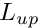 $ L_{up} $