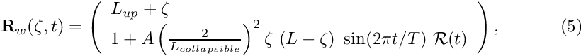 \[ {\bf R}_w(\zeta,t) = \left( \begin{array}{l} L_{up} + \zeta \\ 1 + A \left(\frac{2}{L_{collapsible}}\right)^2 \zeta \ (L-\zeta) \ \sin(2\pi t / T) \ {\cal R}(t) \end{array} \right), \ \ \ \ \ \ \ \ \ \ (5) \]