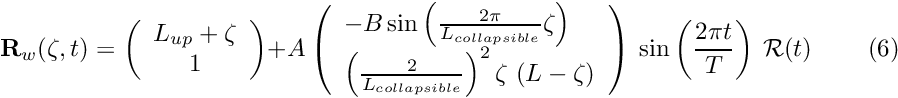 \[ {\bf R}_w(\zeta,t) = \left( \begin{array}{c} L_{up} + \zeta \\ 1 \end{array} \right) + A \left( \begin{array}{l} - B \sin\left(\frac{2\pi}{L_{collapsible}}\zeta\right) \\ \left(\frac{2}{L_{collapsible}}\right)^2 \zeta \ (L-\zeta) \end{array} \right) \ \sin\left(\frac{2\pi t}{T}\right) \ {\cal R}(t) \ \ \ \ \ \ \ \ \ \ (6) \]