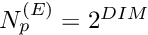 $ N_p^{(E)} = 2^{DIM}$