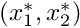 $ (x_{1}^{*}, x_{2}^{*}) $