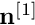 $ \mathbf{n}^{[1]} $