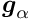 $ \mbox{\boldmath$g$}_{\alpha} $