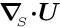 $ \mbox{\boldmath$\nabla$}_{\!\!_{S}}\mbox{\boldmath$\cdot$} \mbox{\boldmath$U$} $