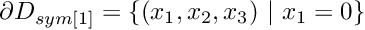 $ \partial D_{sym[1]} = \{(x_1,x_2,x_3) \ | \ x_1=0\} $