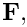 $ {\bf F}, $