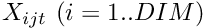 $ X_{ijt} \ (i=1..DIM) $