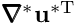 $ \pmb{\nabla}^*\mathbf{u}^{*{\rm T}} $