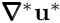 $ \pmb{\nabla}^*\mathbf{u}^* $